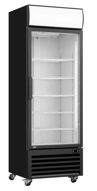Thermaster Single Glass Door Black Colourbond Upright Drink Fridge LG-540BP