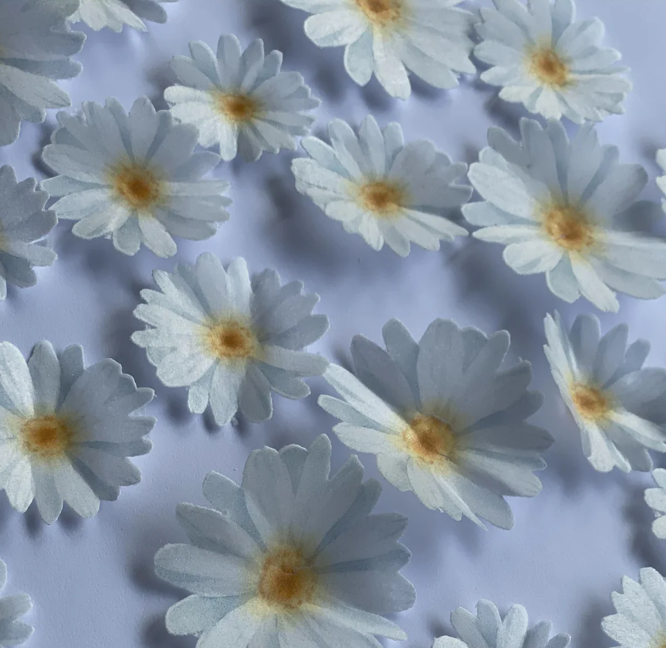 Daisies Pre-cut Edible Wafer - 30 Pack