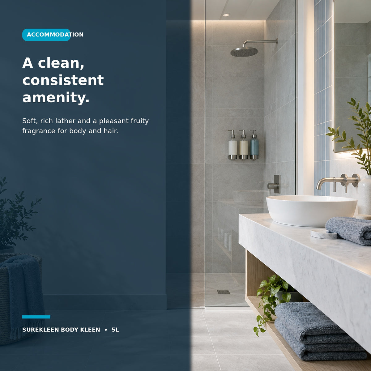 Accommodation bathroom amenities suitable for Body Kleen body wash and shampoo
