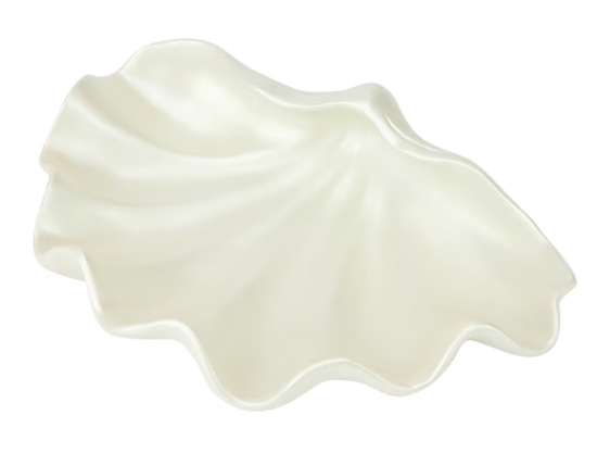 Shell Decor Bowl - 6.5cm (H) x 27cm (W) x 19.5cm (D)