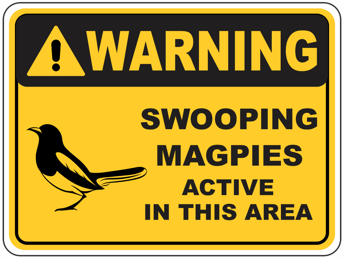 Aluminium Composite Sign 600 x 450mm - Swooping Magpies Active in this Area
