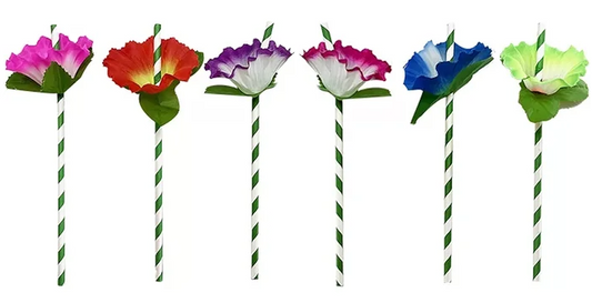 Hawaiian Flower Paper Straws (Pack of 6)