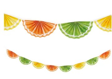 Citrus Fruits Fan Garland Banner