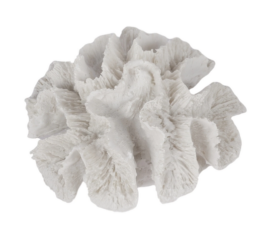 White Coral - 15cm
