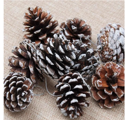 18pcs Christmas Pinecones XMAS Tree Hanging Ornament Xmas Decorations Snowflake