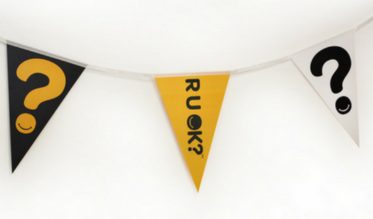 Bunting Flags (PVC) - Total length: 3.7m