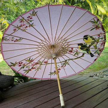 Chinese paper parasol - pink cherry blossoms and birds